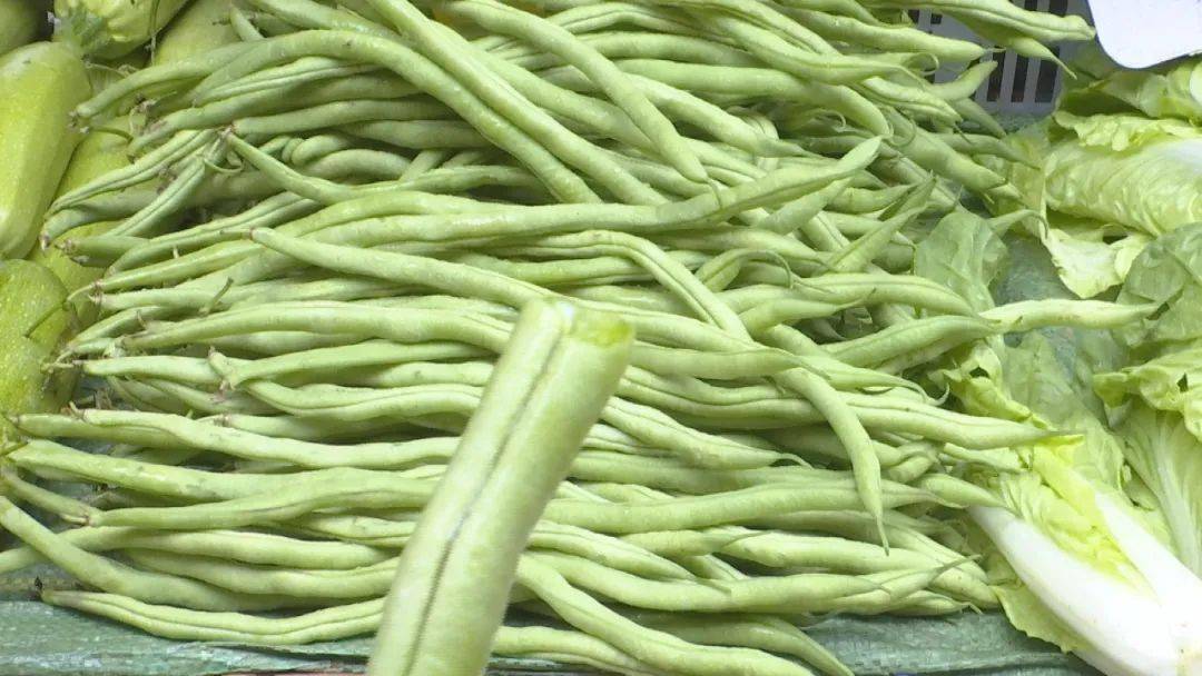 昆明市疾控中心发布提醒:谨防四季豆中毒_菜豆_加工_食用