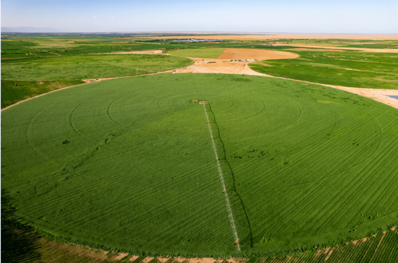 央视报道沙漠绿洲 圣牧有机展现全产业链治沙_黄河_江河_中国