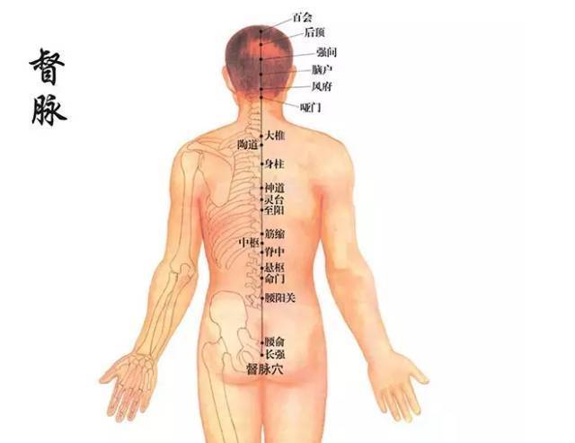 督脉通三关，缓解后背酸痛！_手机搜狐网