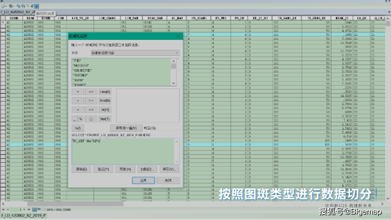 通过查看每个林地图斑数据详细信息,主要包括唯一标识码,省,县,村,小