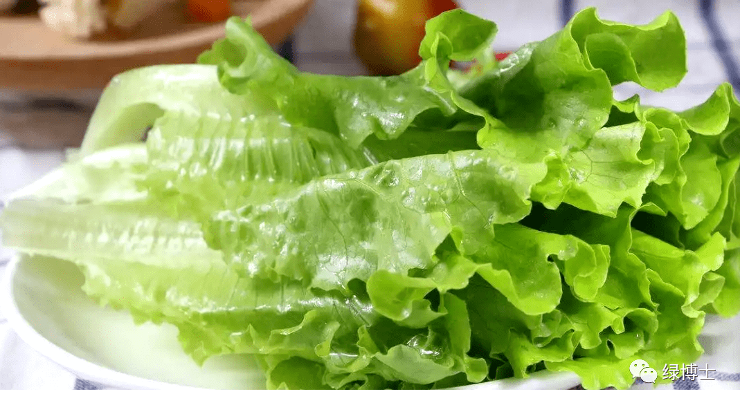 牛大力怎么种植和育苗