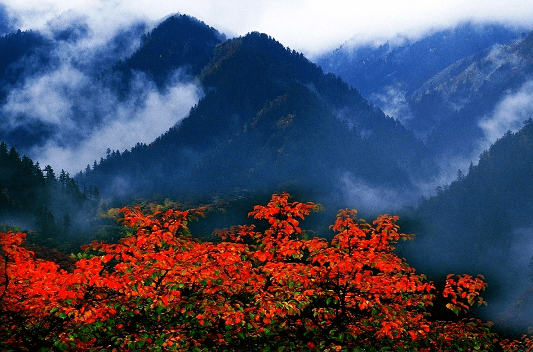 深秋的興隆山,來了就不想走……_甘肅_色彩_旅遊區