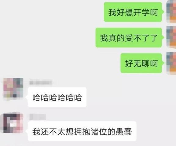 在家隔离的第20天，我的猫“秃”了……