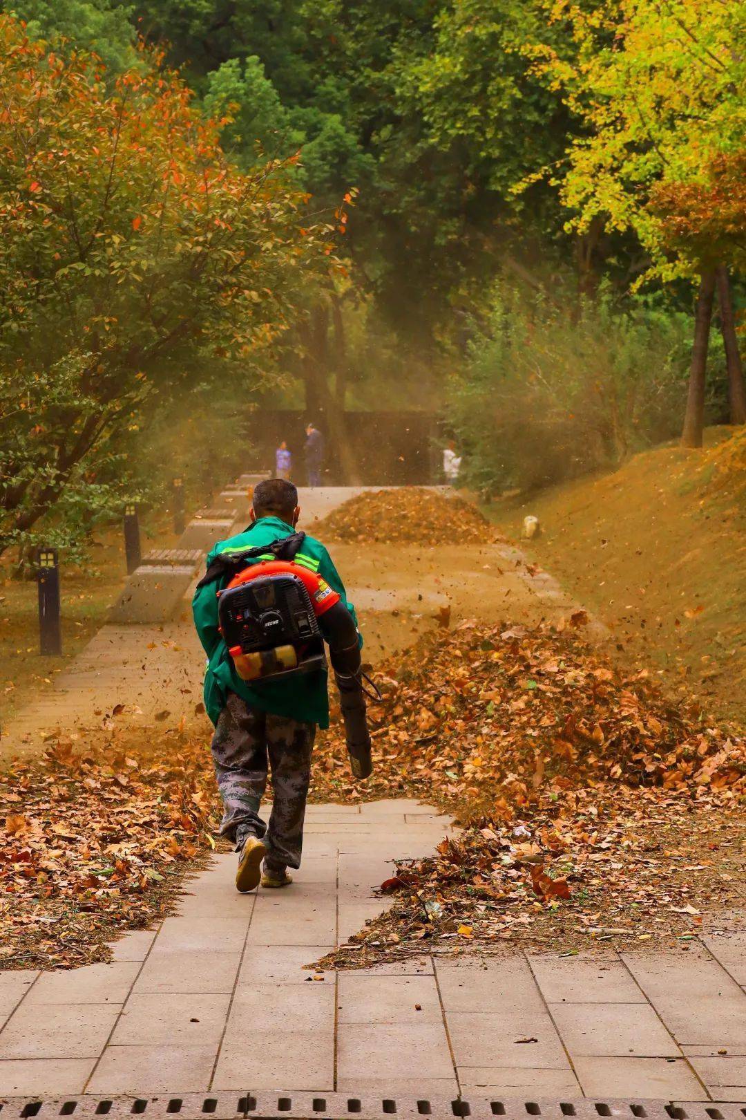 我们的灵感和创意,为枯萎的落叶赋予生命,留下这大自然的灵魂画像