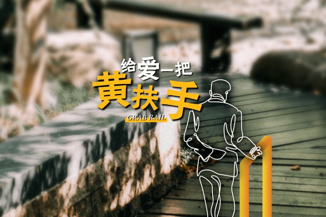 发达国家在失能长者长期照护上的解决方案及经验借鉴_支持_老年人_体系