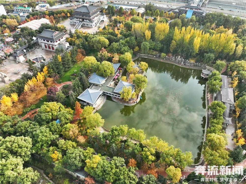 金城公园秋色独好_兰州_生活_人间