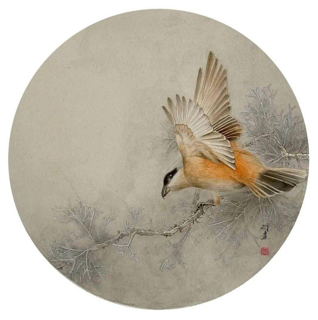 技法高超娴熟,格调古雅稳重——衍达工笔画_画法_个人艺术_花鸟