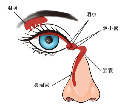 适当流泪有好处,你得知道!_眼睛_眼泪_作用