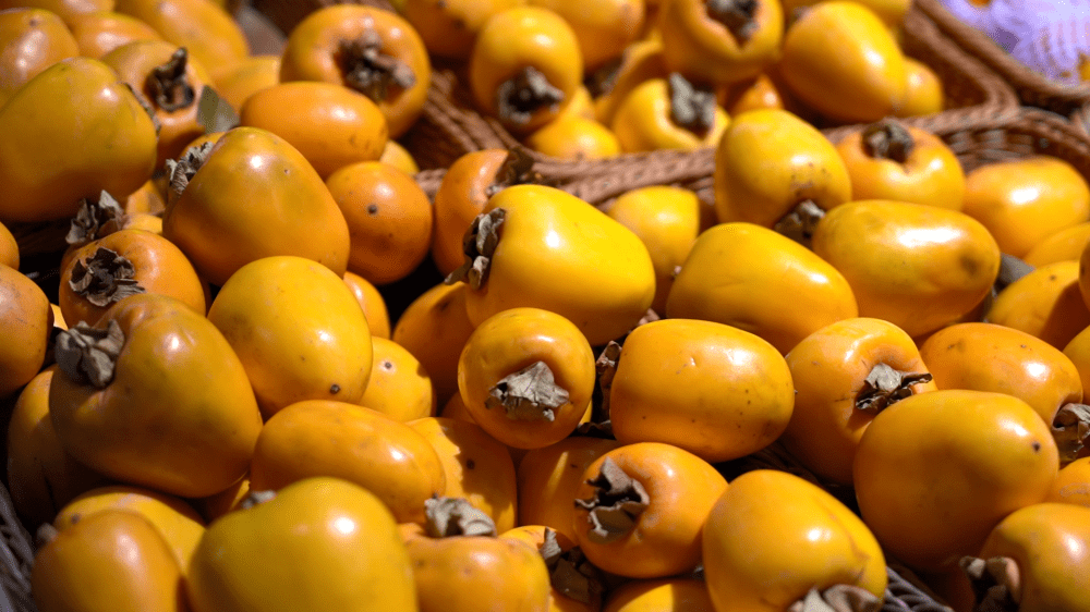 柿子是当季的水果,每天买柿子的人也比较多,我们这里柿子的品种也很多