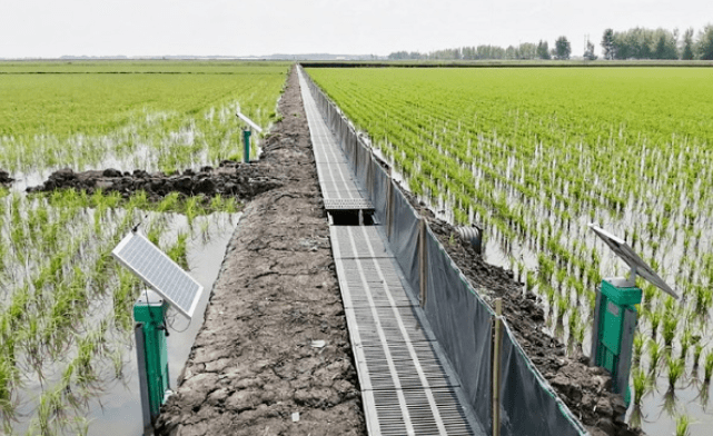 【河湖要闻】节水技术展示 农田灌溉实现"一控多赢"——记黑龙江