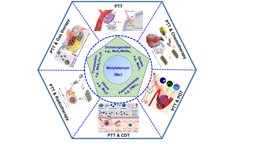 香港城市大学谭超良课题组anbr:钼基纳米材料用于癌症光热治疗_mo-nms