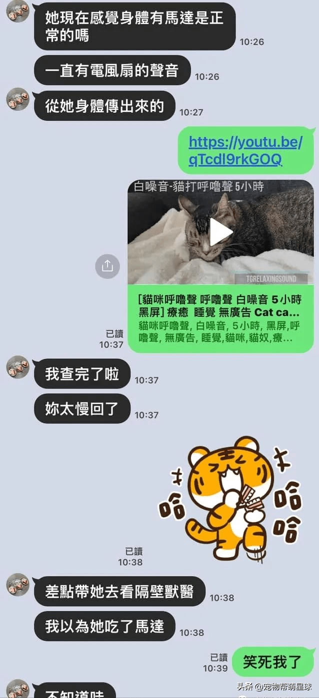 猫咪送到姐姐家寄养，认为它打呼噜是吞了马达，差点送医，笑喷