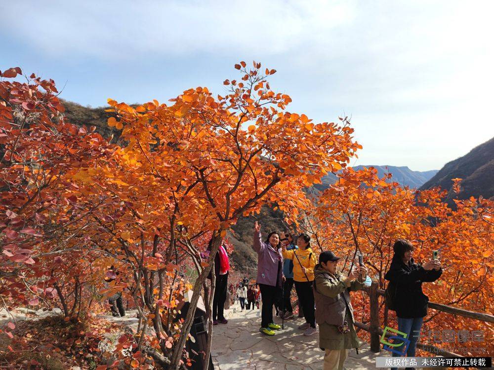 北京房山村落旅游提量晋级 “沉浸式”体验田园生活