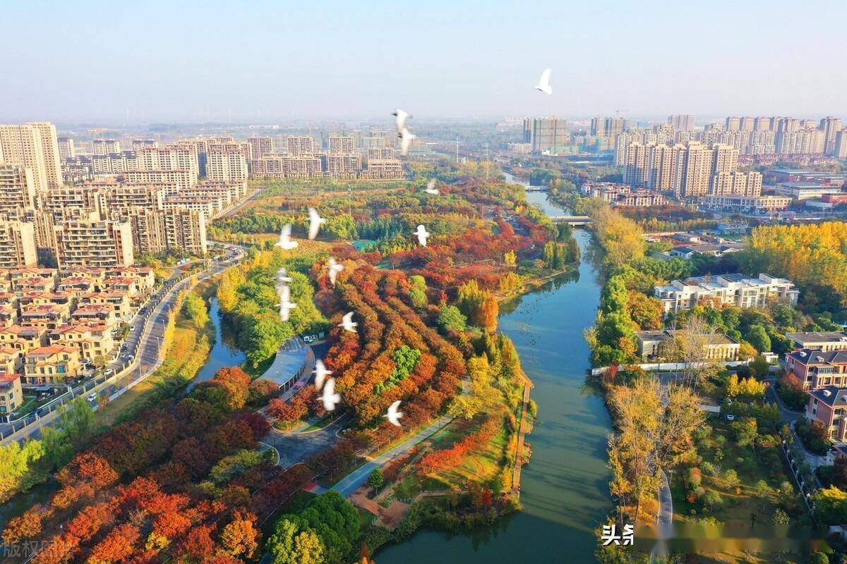 2022年11月5日,江苏省徐州市睢宁县花径公园色彩斑斓,满目秋色.