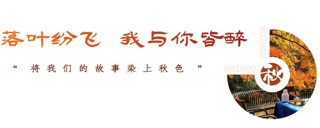 湖城银杏随风起，我在等风也等你......