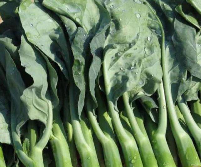 芥蓝也叫作白花芥蓝,绿叶甘蓝,芥兰,芥蓝菜,盖菜,它在广东,广西,台湾