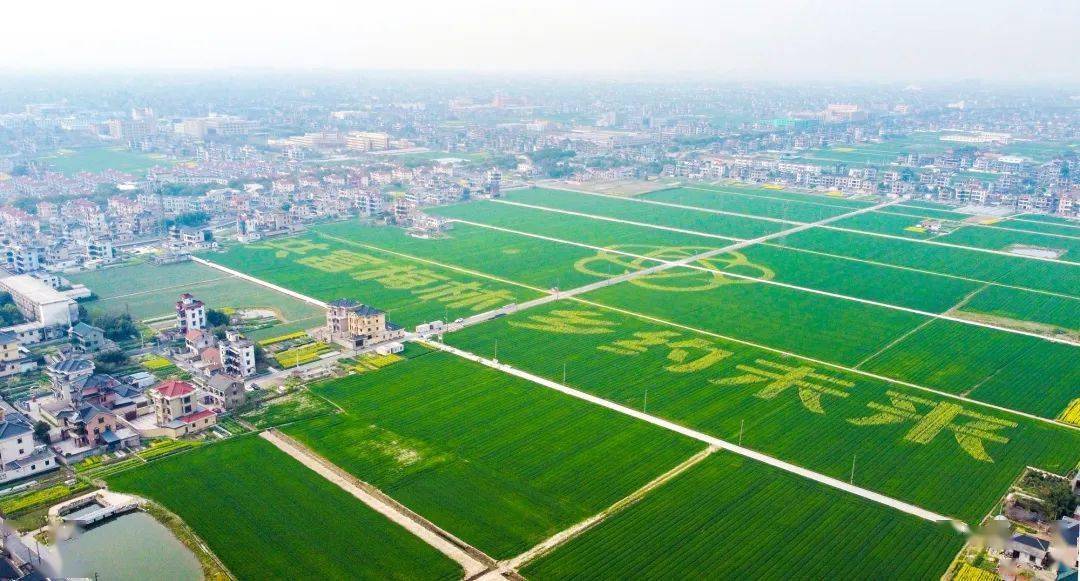 瓜沥梅林村,航民村在浙江展览馆展出!_乡村_摄影_萧山