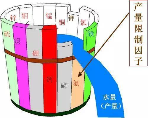 史上最全肥料知识!(珍藏版)_元素_植物_养分