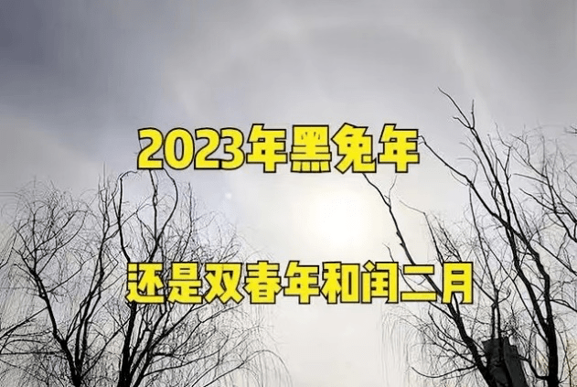 2023兔年清宫图图片