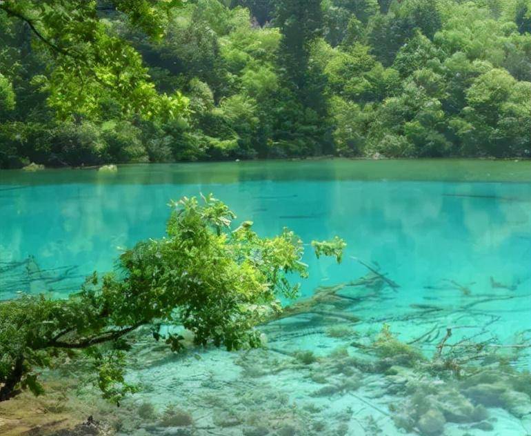 三:闲人罗织经提醒我们,君子是出于恐惧而自觉行善的.