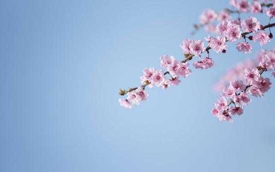 未来2年，四大生肖存款翻十番，各处生情，横财喜事齐聚家门