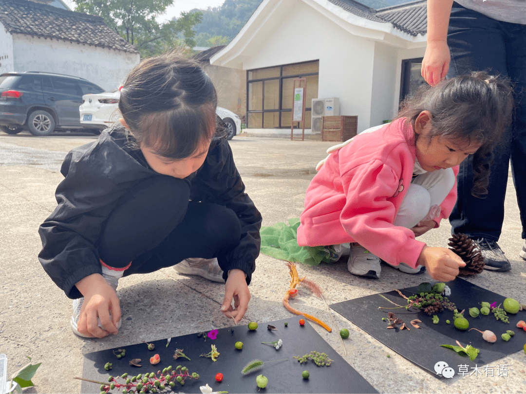 不看后悔（野果的作用与功效）野果的营养，(图6)
