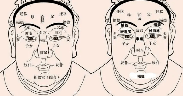 易学应用 | 面相是如何看疾病的?周易这样解读_分析_部位_家庭