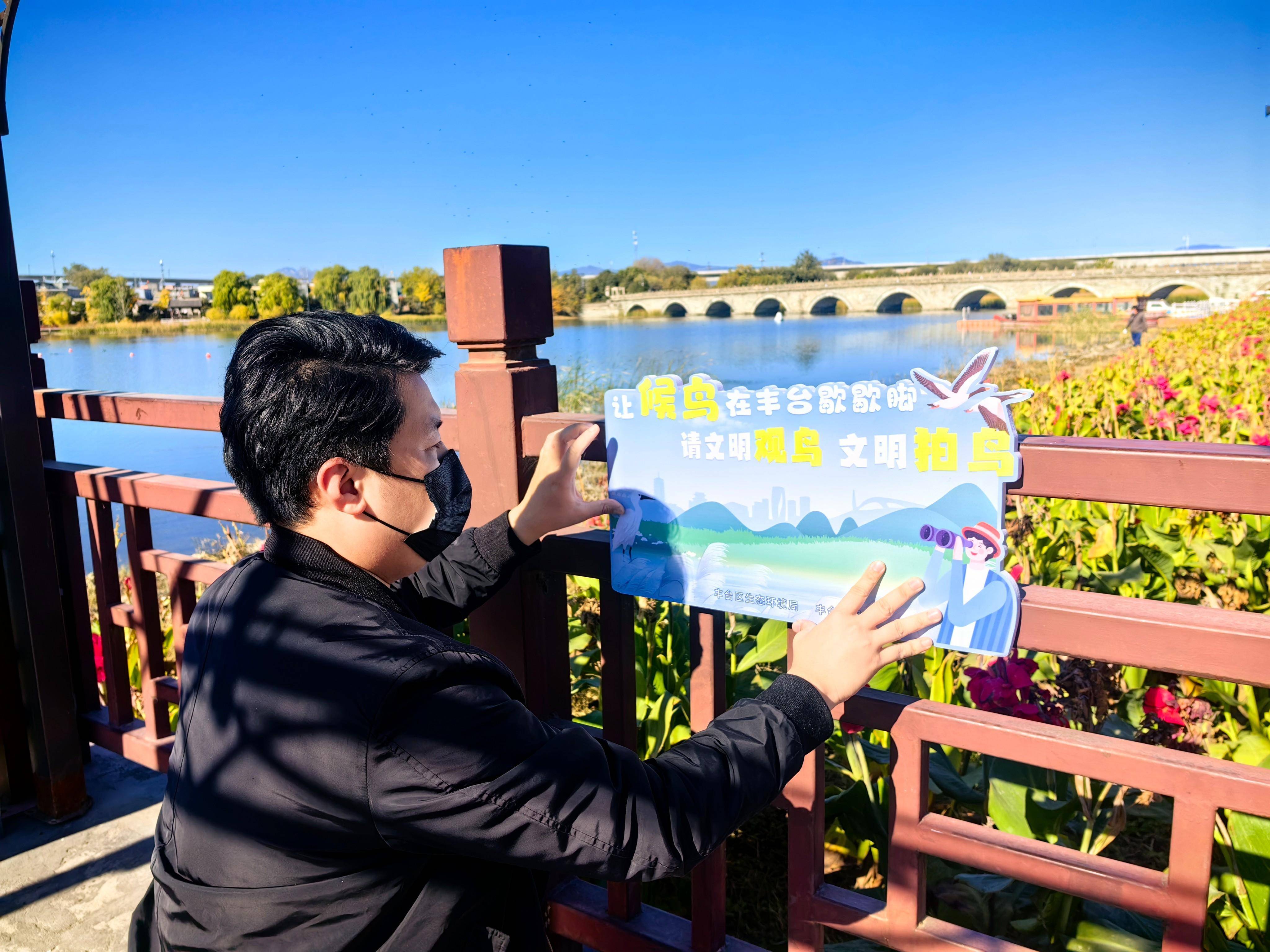 让候鸟安心歇脚,丰台晓月湖畔挂出观鸟提示牌_鸟类_水体_爱好者