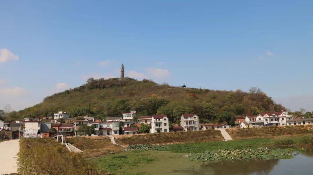 巢湖市银屏镇"龟山塔",600多年风霜雪雨,傲然矗立!_古塔_山村_濡须