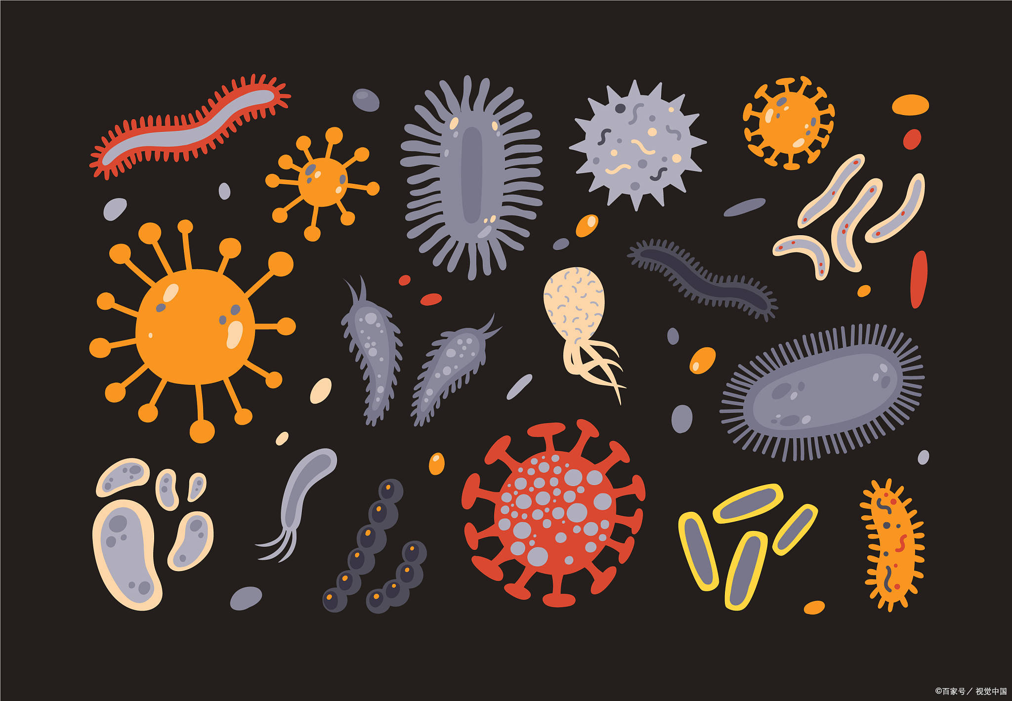 微生物壁纸图片