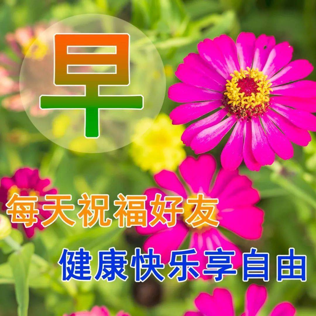 关心朋友的早上好漂亮祝福语图片表情包 最棒的温馨早安问候祝福语