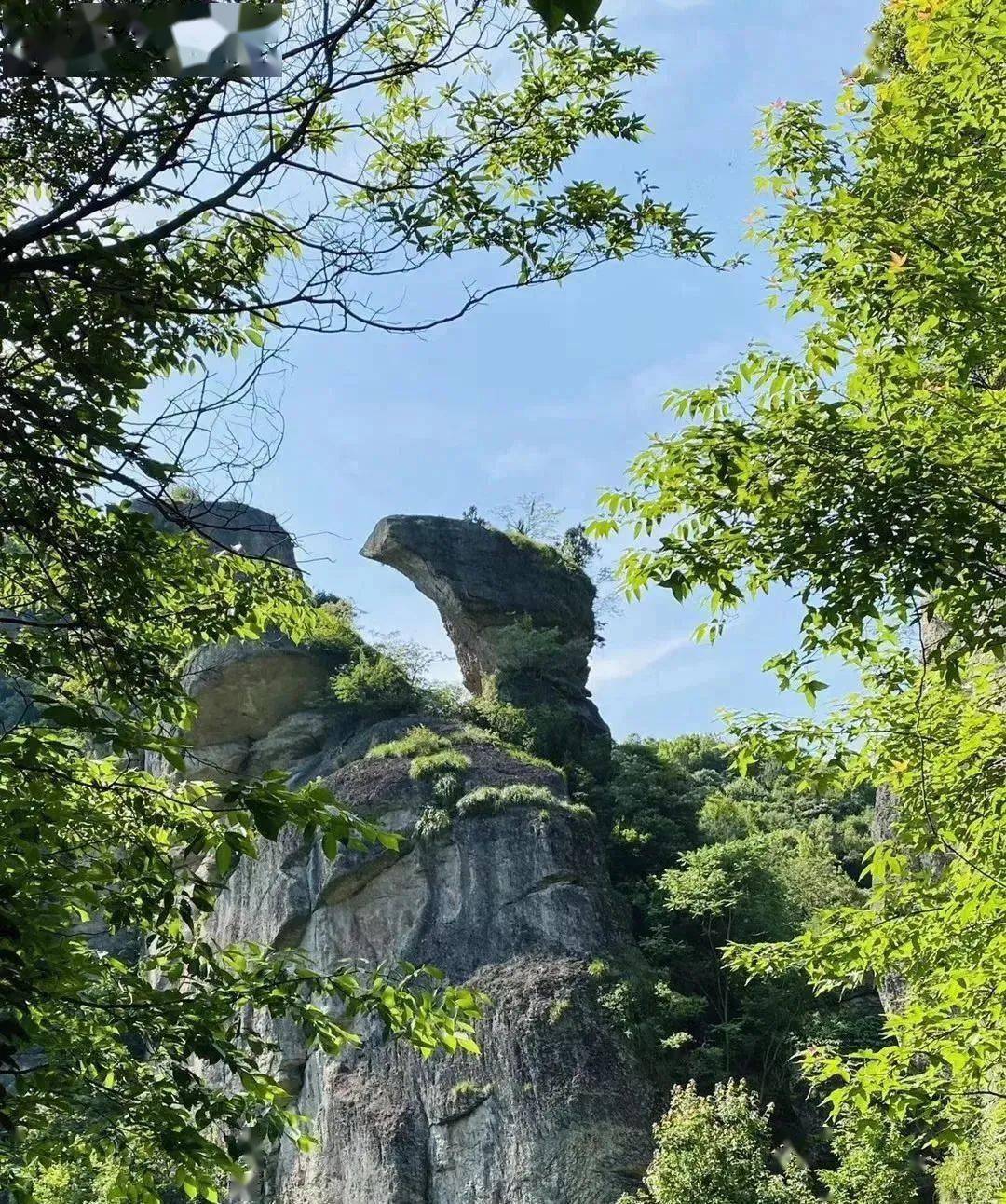 13 周日 秋日健行 新昌下岩贝赏十九峰,倒脱靴休闲徒步,走出"趣"远离
