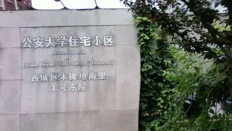 “大话”木樨地_苜蓿_北京_饲料