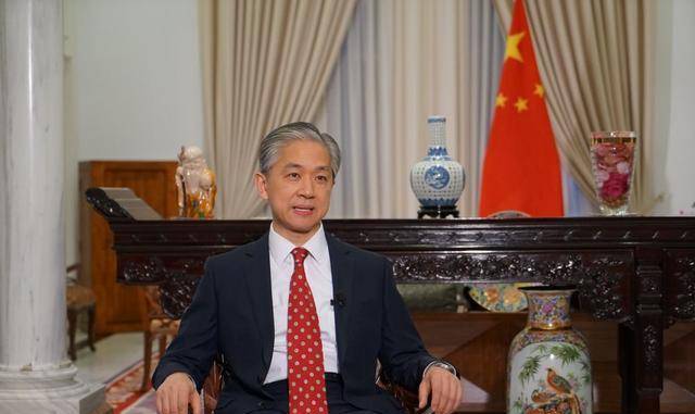 "冷面女神"张京:放弃清北,选外交官,这才是年轻人该追的明星_中国