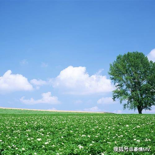 个性神秘自然绝美的风景头像唯美风景图片