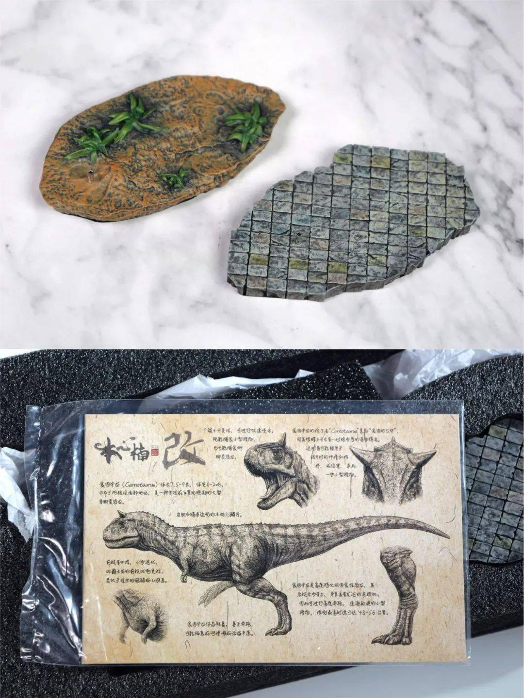 价格屠夫 本心楠改龙魂版食肉牛龙2.0雕像入手!_模型_恐龙_反派