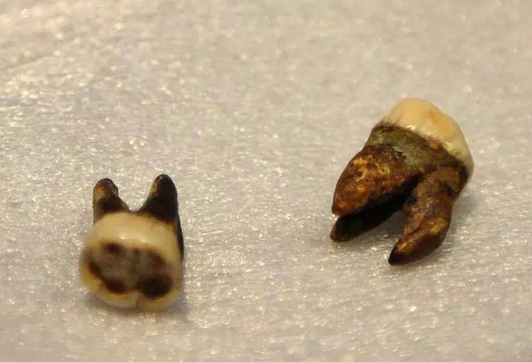 隋炀帝的陵墓中为何只剩下两颗牙,而萧皇后尚有遗骨,原因有三点_遗骸