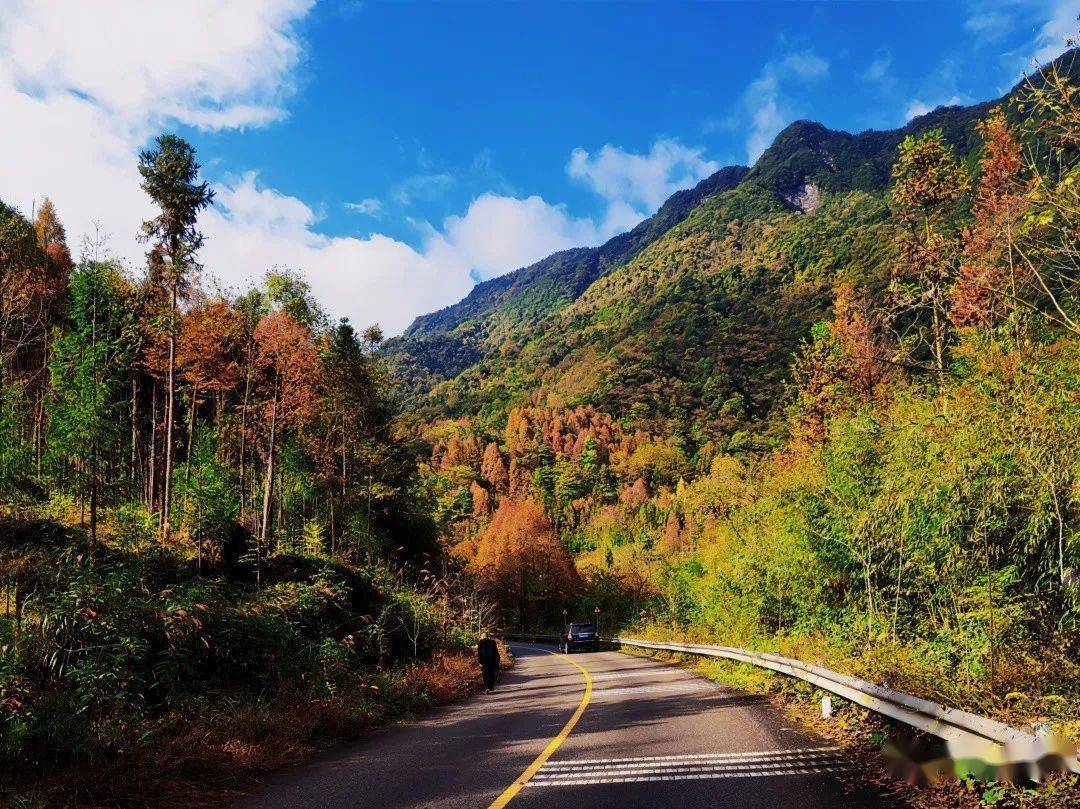 请接收~崇州文井江彩林的美颜暴击!_大坪村_江镇_琉璃