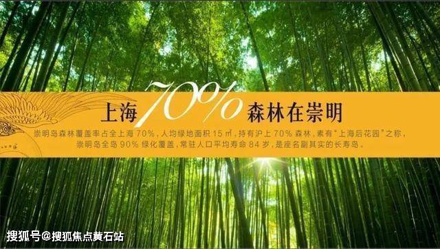 崇明岛路劲象屿岛上的院子-楼盘新闻!!!_搜狐网