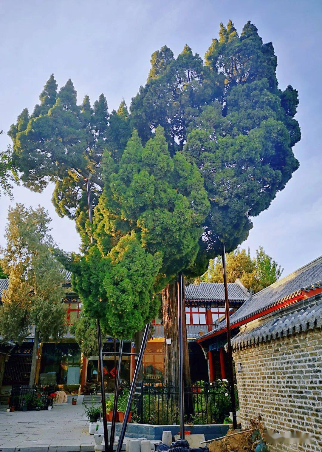 阳谷最大的骄傲之一丨海会寺:华北四大名寺_寺院_和解_平安