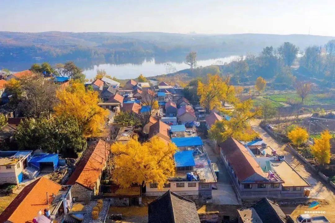 有一种幸福，叫我在莱西！