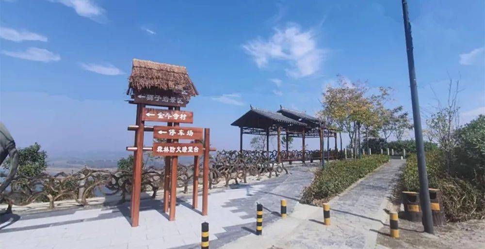 小小油茶果 为乡村振兴添"油"助绿_金牛寺_谷城县_茨河镇