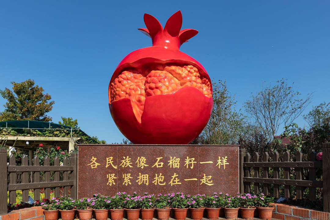 "初冬时节,桃源县枫树维回乡维回新村枫林花海景区内,前来游玩的游客