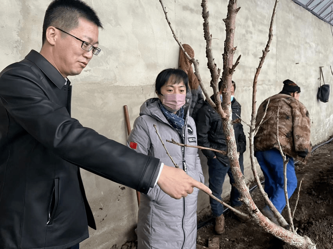 张艳华深入建设街道调研指导2023年拟实施乡村振兴衔接项目前期工作