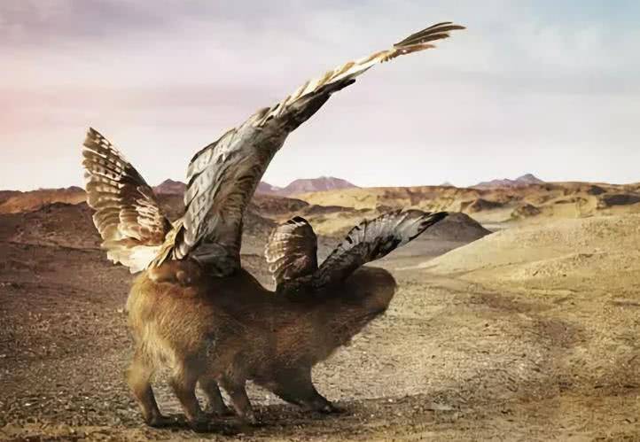 神话传说中的四大无头天神_头人_中央_生活