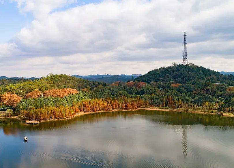 德阳市区这个最大的湖泊将大变样!城市新地标,就在这