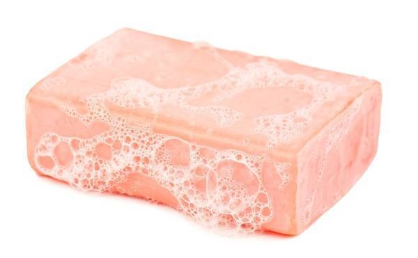 诺维信推出全新行业级晶体酶，助洗衣皂“酶”力表现再升级