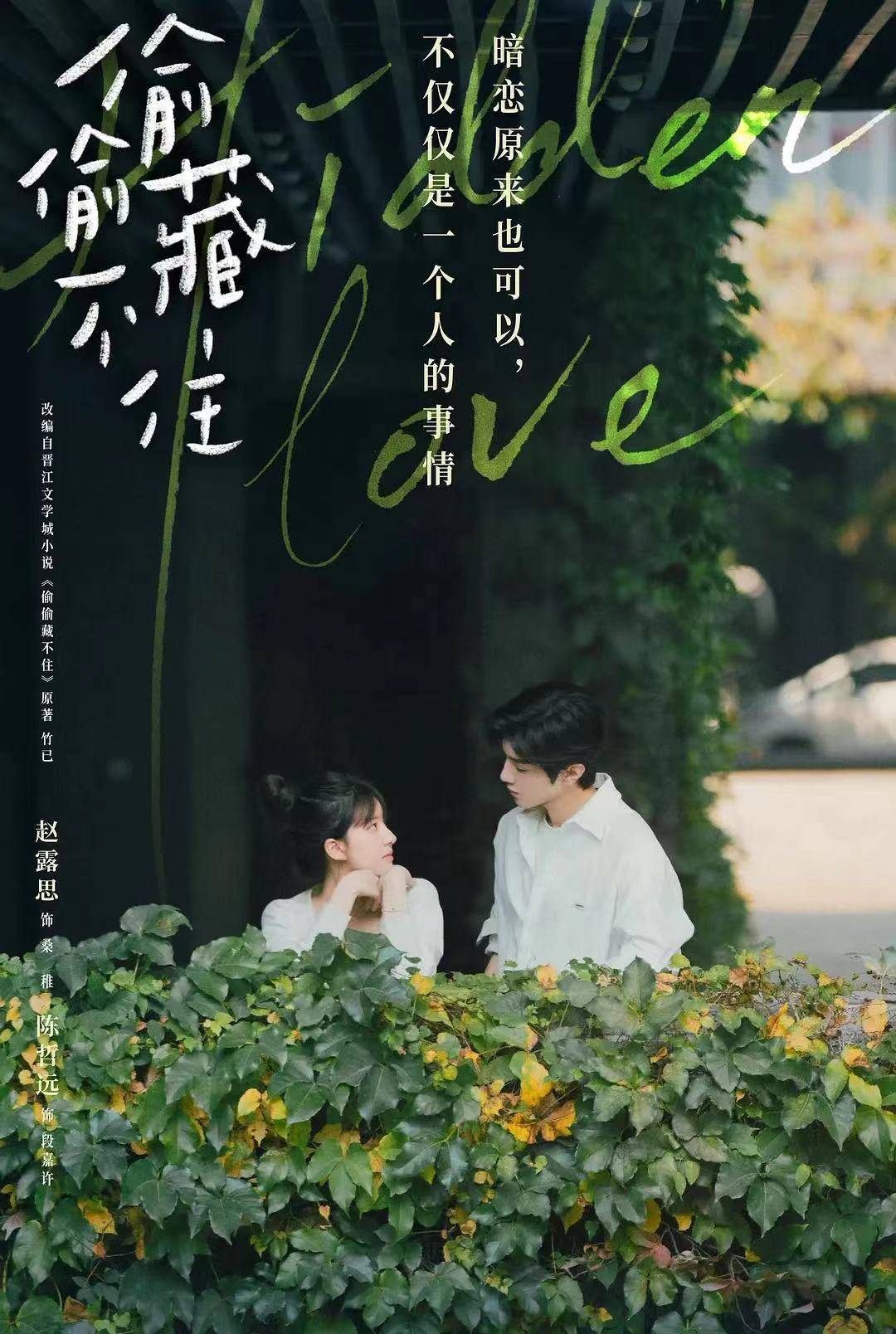 这部剧就是人气作品《偷偷藏不住》