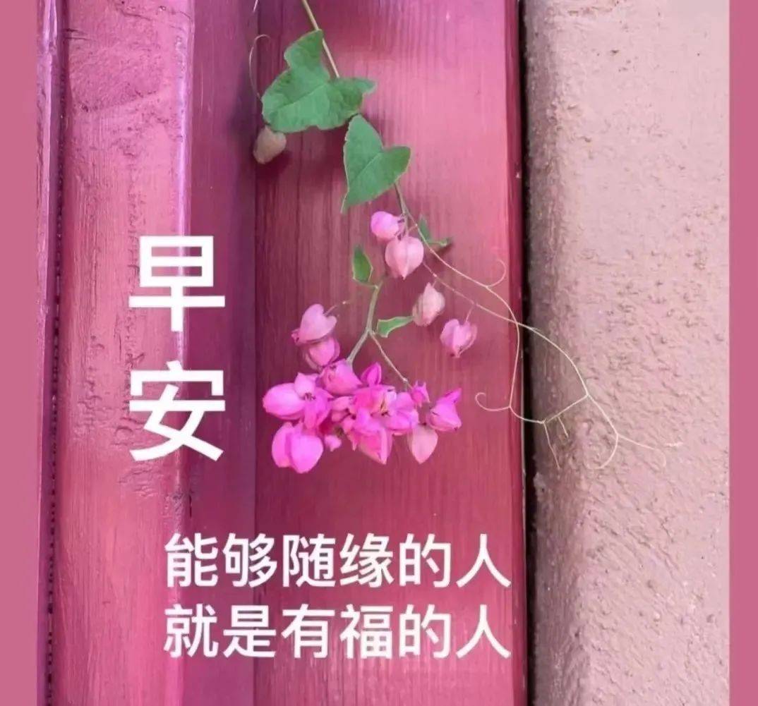 友情早安图片大全图片