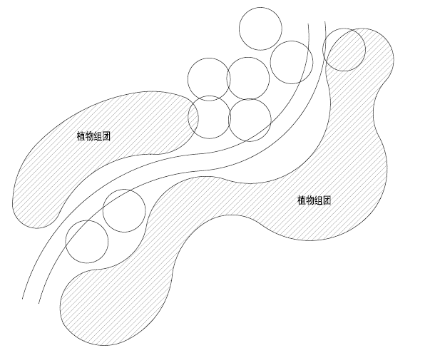 园路中的那些纯林设计,这样玩!_应用_品种_效果